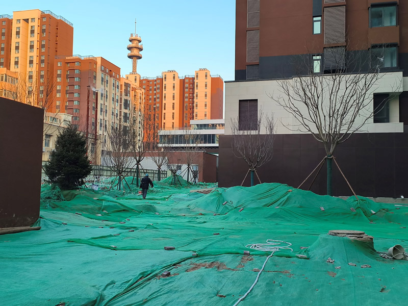 1765360253369901.jpg 1.jpg